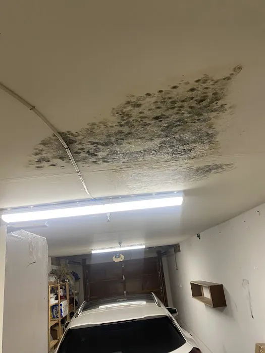 GS Mold Solution Picture 5