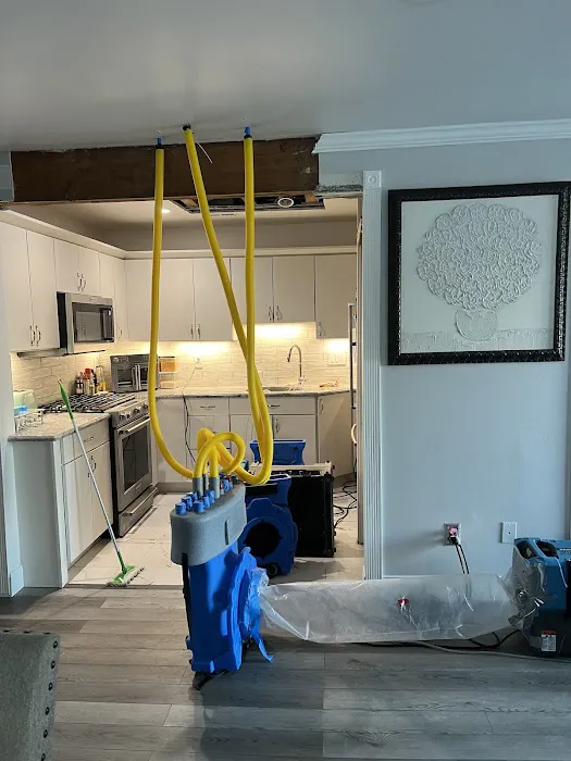 ADU Water Fire Mold Storm Picture 7