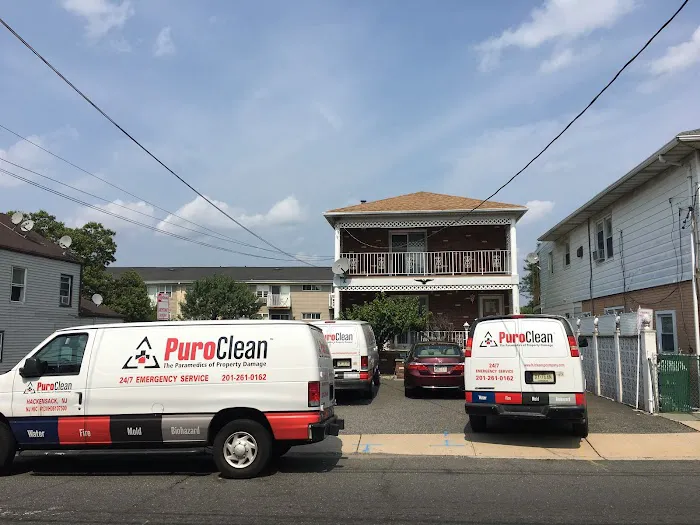 PuroClean Mitigation & Restoration Services Picture 2