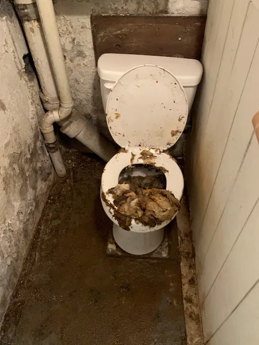 PuroClean Mitigation & Restoration Services Picture 3