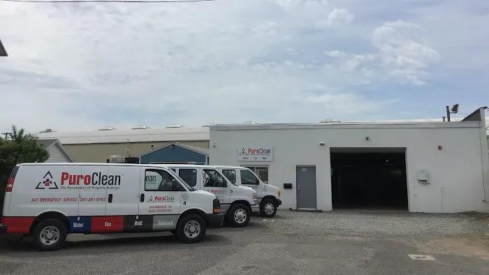 PuroClean Mitigation & Restoration Services Picture 4