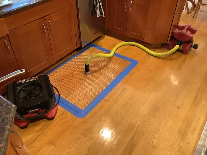 PuroClean Mitigation & Restoration Services Picture 10