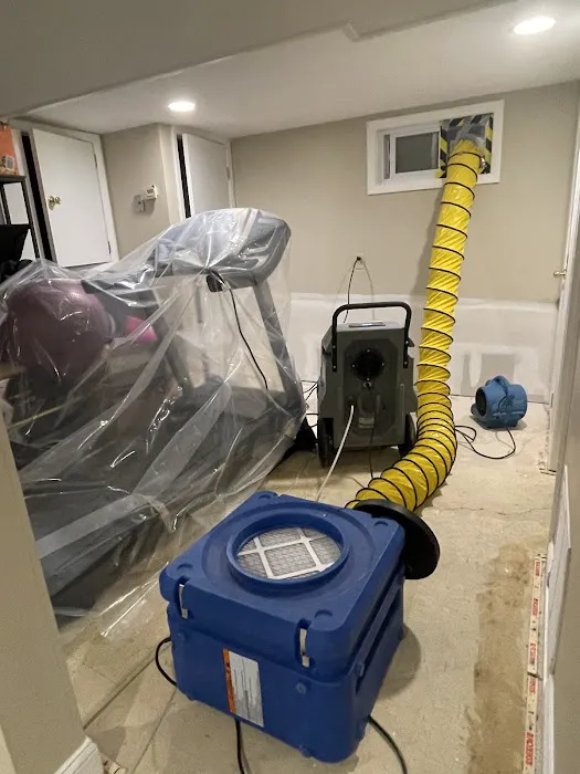 Green Guard Mold Remediation Hackensack Picture 1