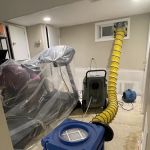Green Guard Mold Remediation Hackensack