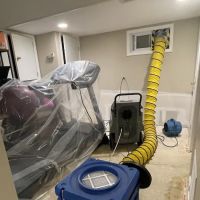 Green Guard Mold Remediation Hackensack ico