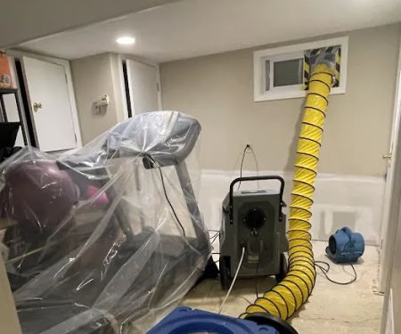 Green Guard Mold Remediation Hackensack