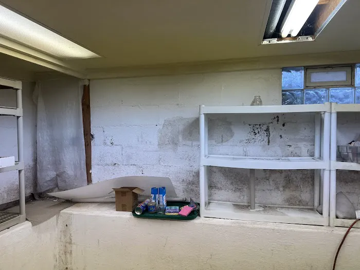 Green Guard Mold Remediation Hackensack Picture 7