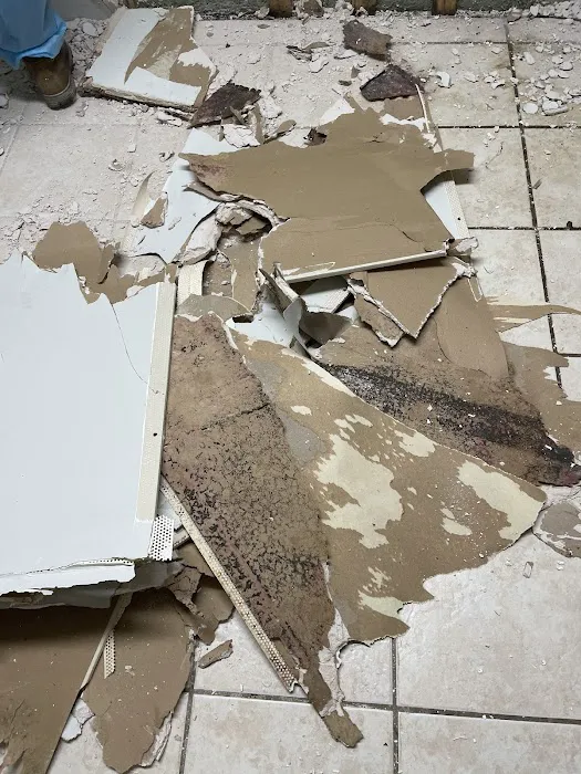 Green Guard Mold Remediation Hackensack Picture 6