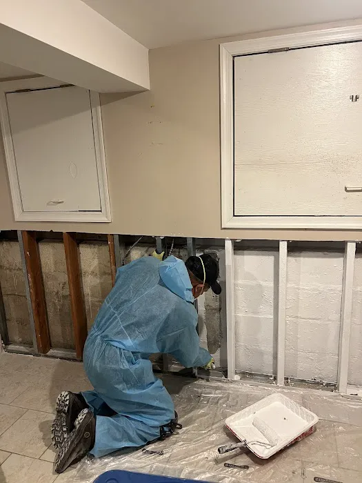Green Guard Mold Remediation Hackensack Picture 4