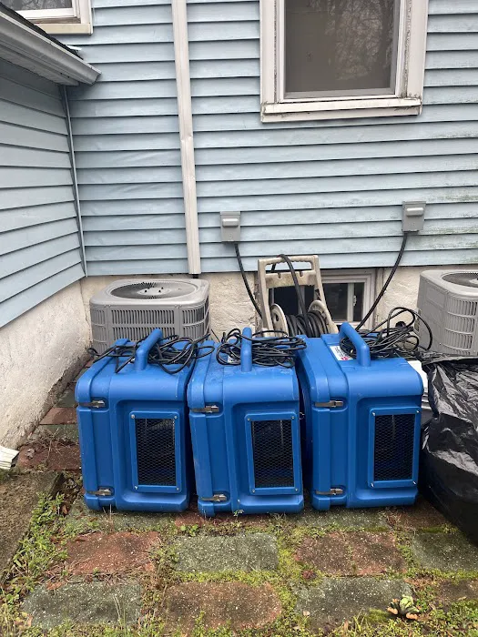 Green Guard Mold Remediation Hackensack Picture 10