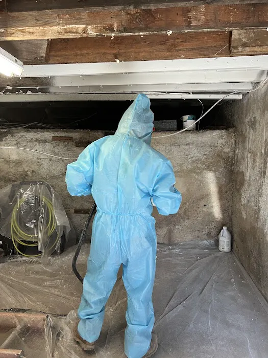 Green Guard Mold Remediation Hackensack Picture 5