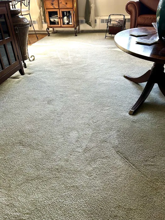 Stanley Steemer Picture 8