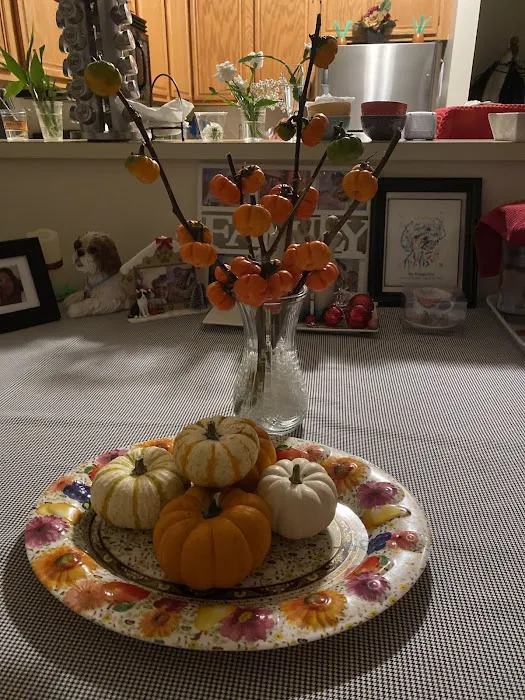 Stanley Steemer Picture 6