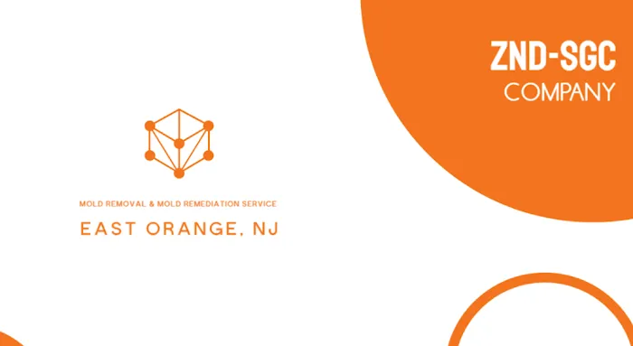 ZND-SGC Mold Removal & Mold Remediation Service East Orange, NJ Picture 2