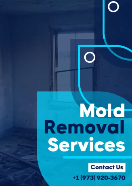 ZND-SGC Mold Removal & Mold Remediation Service East Orange, NJ Picture 1