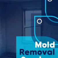 ZND-SGC Mold Removal & Mold Remediation Service East Orange, NJ ico