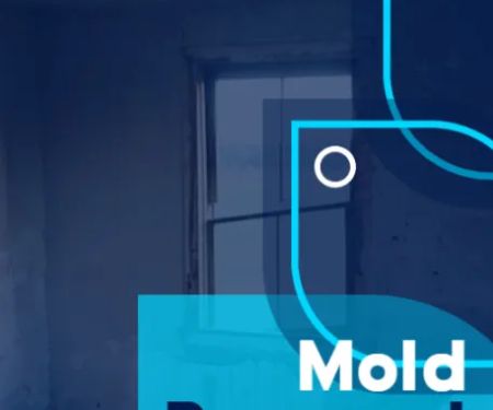 ZND-SGC Mold Removal & Mold Remediation Service East Orange, NJ