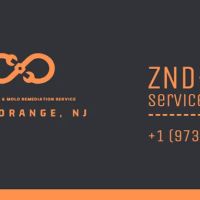 ZND-THT Mold Removal & Mold Remediation Service East Orange, NJ ico