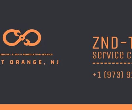 ZND-THT Mold Removal & Mold Remediation Service East Orange, NJ