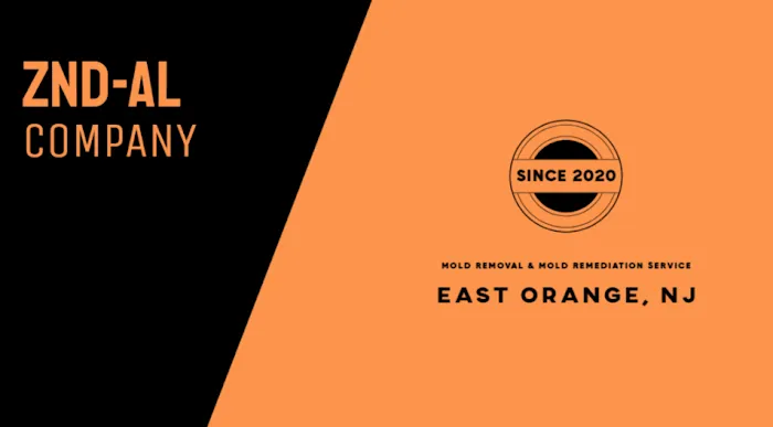 ZND-AL Mold Removal & Mold Remediation Service East Orange, NJ Picture 1