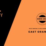 ZND-AL Mold Removal & Mold Remediation Service East Orange, NJ