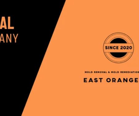 ZND-AL Mold Removal & Mold Remediation Service East Orange, NJ