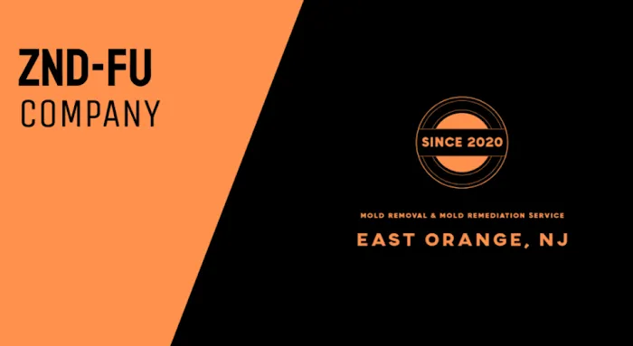 ZND-FU Mold Removal & Mold Remediation Service East Orange, NJ Picture 2