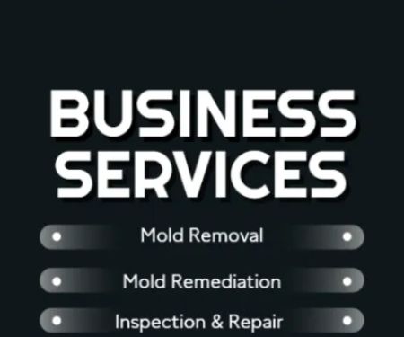 ZND-FU Mold Removal & Mold Remediation Service East Orange, NJ