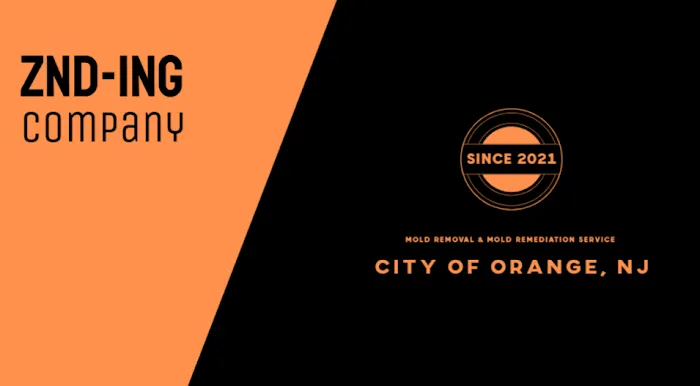 ZND-ING Mold Removal & Mold Remediation Service City of Orange, NJ Picture 2