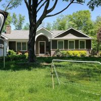 ZND-ING Mold Removal & Mold Remediation Service City of Orange, NJ ico