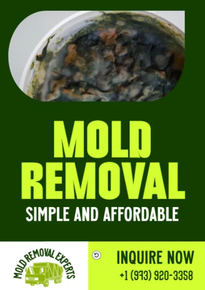ZND-ING Mold Removal & Mold Remediation Service City of Orange, NJ Picture 3