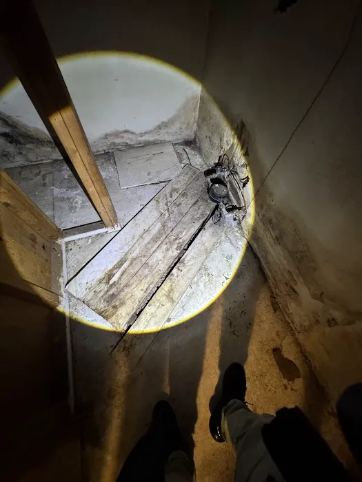 New Jersey Mold Specialist Picture 10