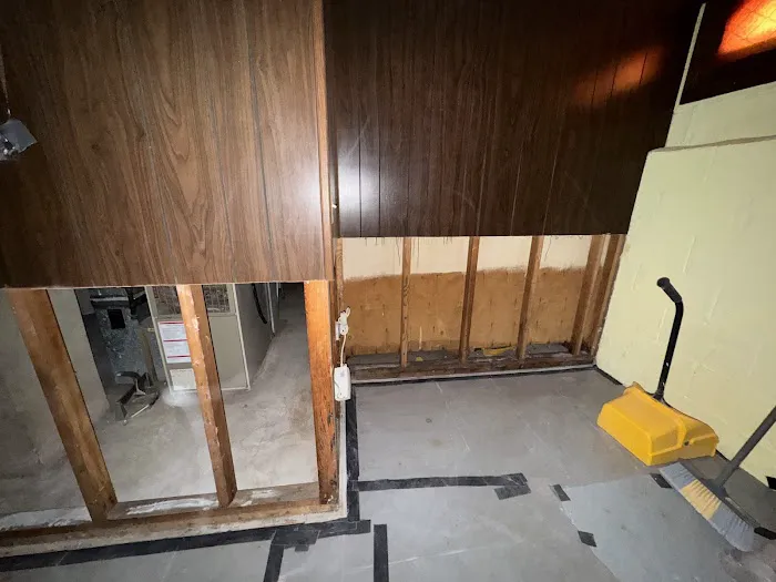 New Jersey Mold Specialist Picture 2