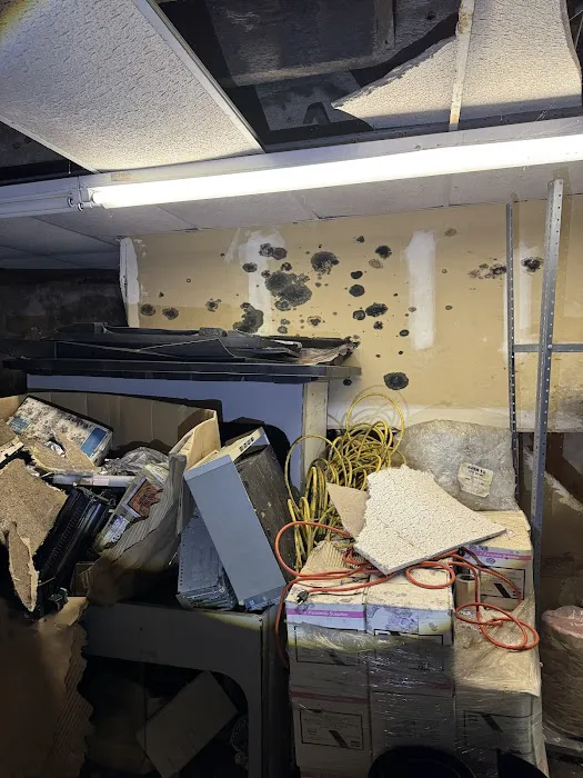 New Jersey Mold Specialist Picture 9