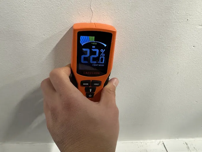 New Jersey Mold Specialist Picture 8