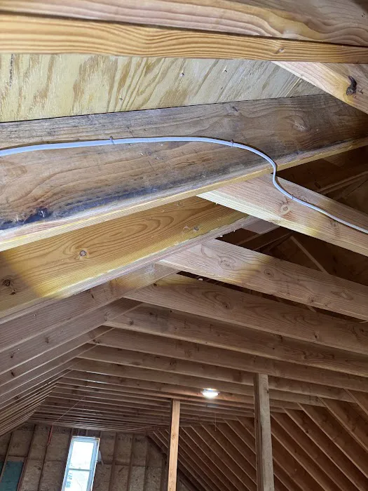 New Jersey Mold Specialist Picture 1