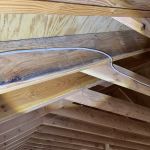 New Jersey Mold Specialist