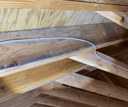 New Jersey Mold Specialist