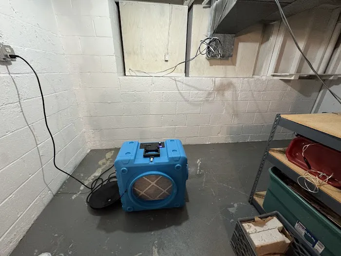 New Jersey Mold Specialist Picture 7