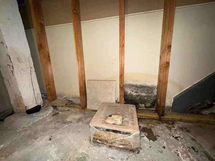 New Jersey Mold Specialist Picture 3