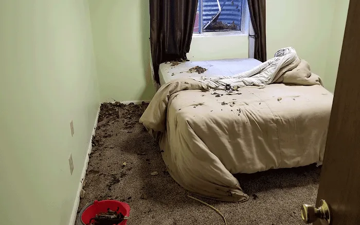 Madison Restoration Picture 8