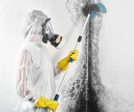 Affordable Remediation & Emergency Services