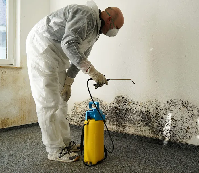 Affordable Remediation & Emergency Services Picture 10