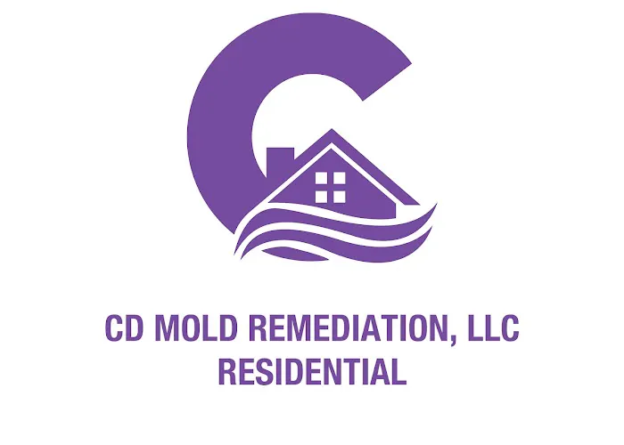 CD Mold Remediation LLC Picture 1