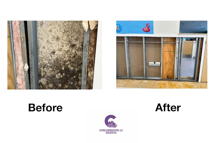 CD Mold Remediation LLC Picture 2