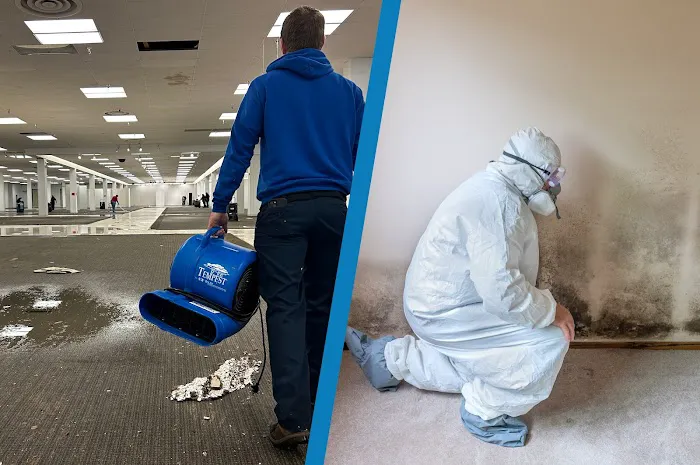 BluSky Restoration Contractors Picture 2