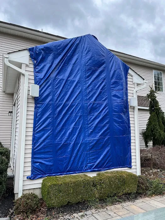 RHome Plus Restoration Picture 6