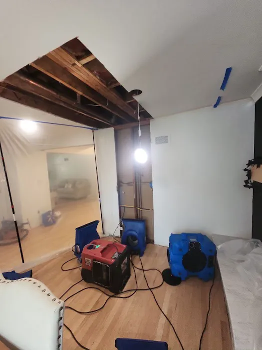 RHome Plus Restoration Picture 3