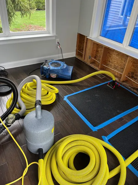 RHome Plus Restoration Picture 1