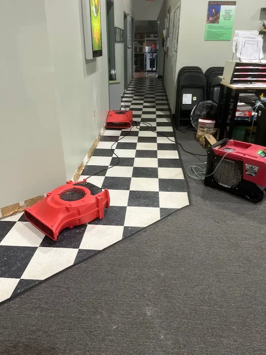 RHome Plus Restoration Picture 2